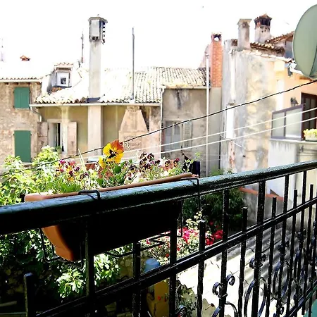 Dorjan Amicis Rovinj
